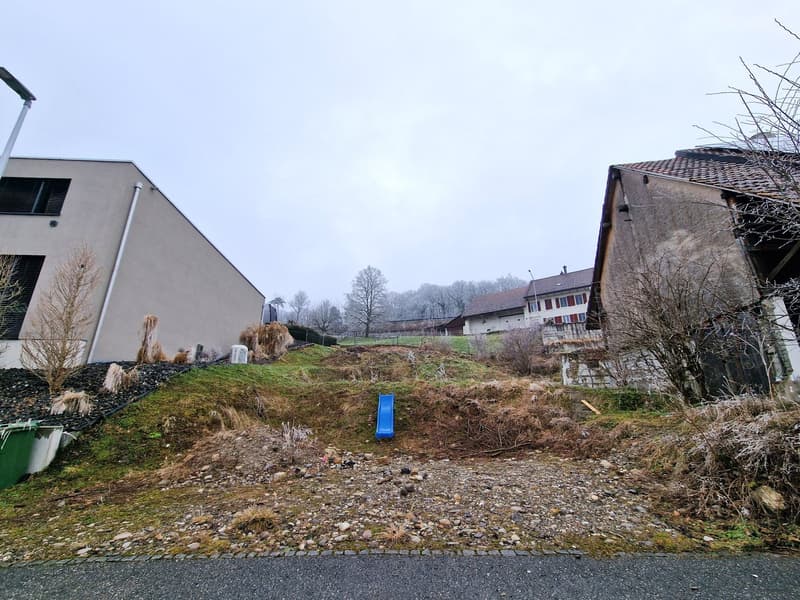 Bauland