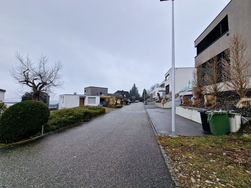 Empty street in front of an apartment building, gray sky, trees on either side, empty trash cans.