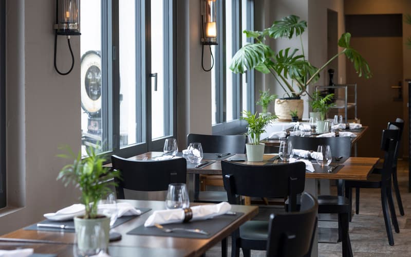 Tables and chairs set up, tables have potted plants and silverware, modern decor, large windows, industrial-style lamps