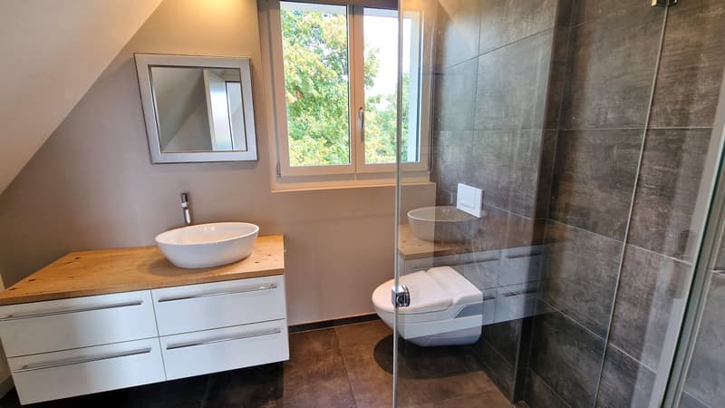 Small bathroom with natural light, single-basin sink on a wooden counter, large mirror, glass-walled shower with white toilet, wall-mounted faucets, white cabinets with drawers
