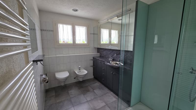The solution for families - 5.5-room single-family house with garden and plenty of space (12)