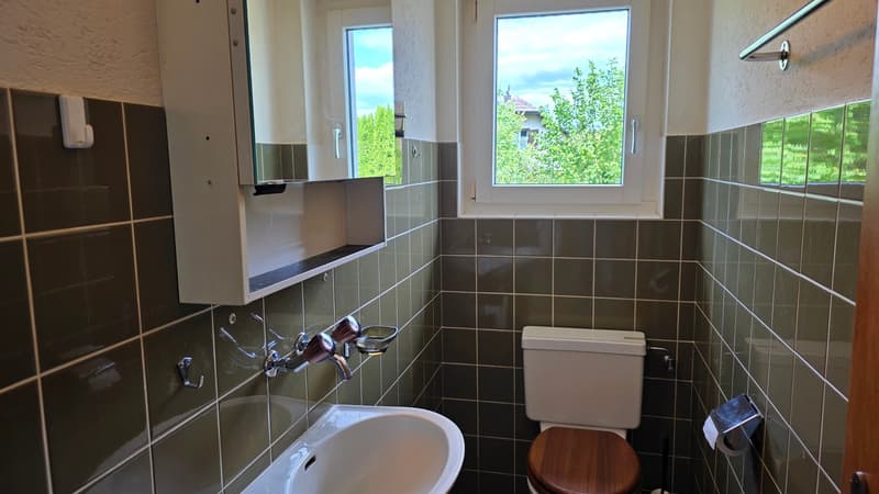 The solution for families - 5.5-room single-family house with garden and plenty of space (19)