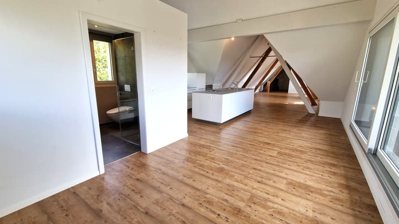 Charming 2.5-room attic apartment with character (4)