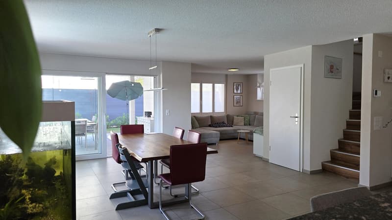 Modern single-family house with pool (3)