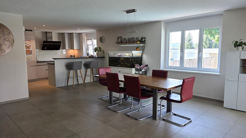 Modern single-family house with pool (5)