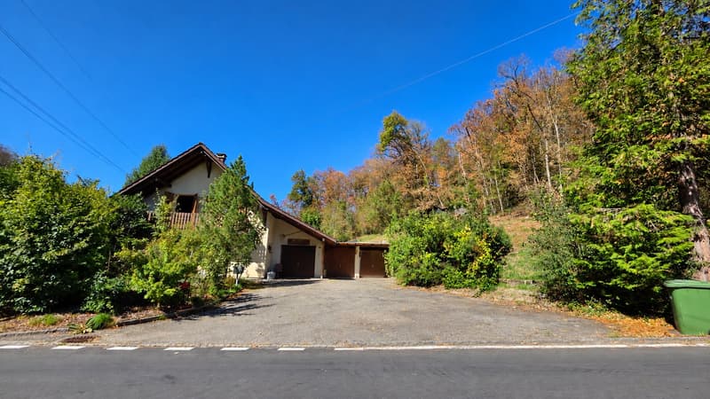 Charmantes Einfamilienhaus mit eigenem Wald (1)