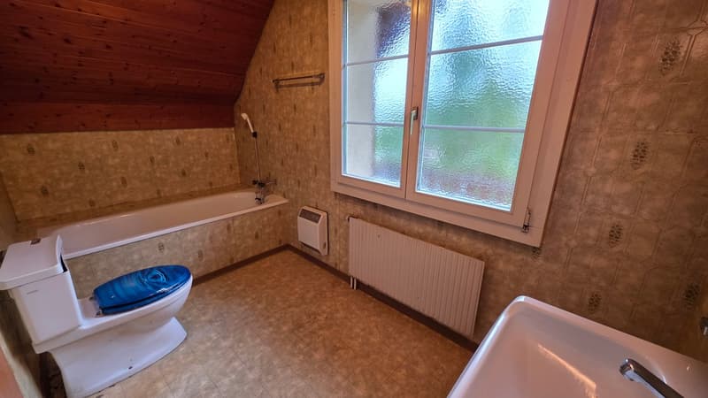 Charmantes Einfamilienhaus mit eigenem Wald (14)