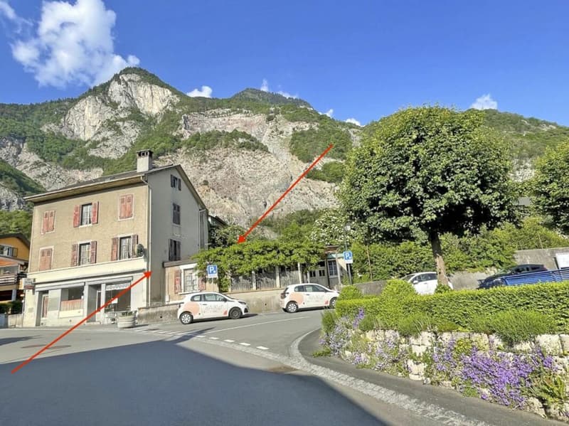 3,5 locali, tutto nuovo, giardino e Dents du Midi! (10)