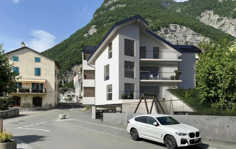 3,5 locali, tutto nuovo, giardino e Dents du Midi! (16)