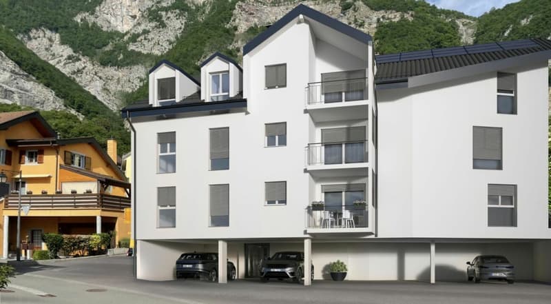 3,5 locali, tutto nuovo, giardino e Dents du Midi! (9)