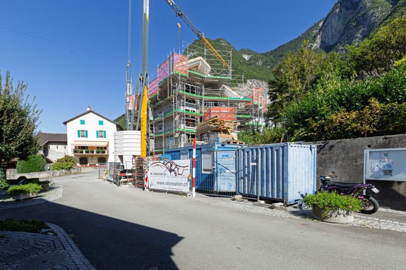 3,5 locali, tutto nuovo, giardino e Dents du Midi! (15)
