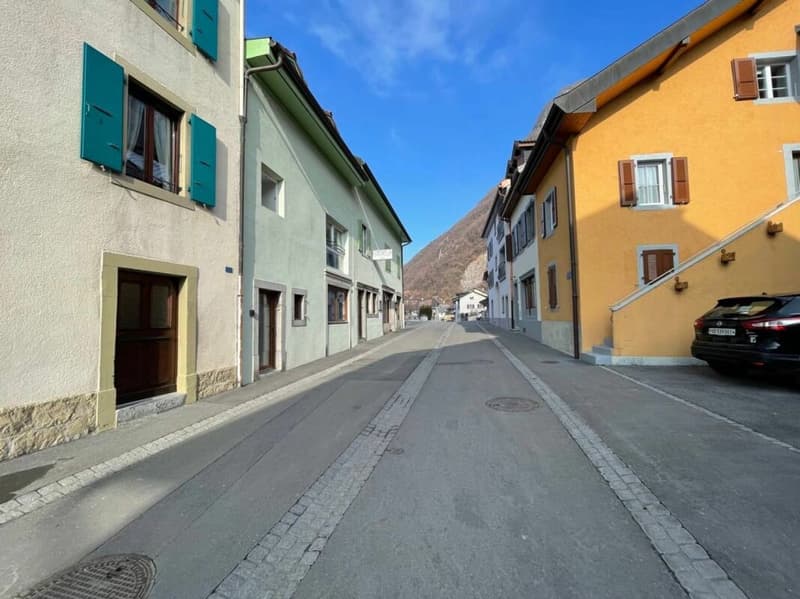 3,5 locali, tutto nuovo, giardino e Dents du Midi! (14)