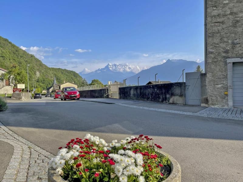 3,5 locali, tutto nuovo, giardino e Dents du Midi! (7)