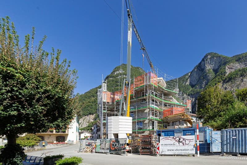 3,5 locali, tutto nuovo, giardino e Dents du Midi! (19)
