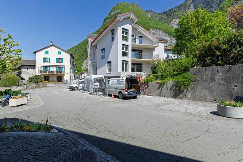 3,5 locali, tutto nuovo, giardino e Dents du Midi! (2)