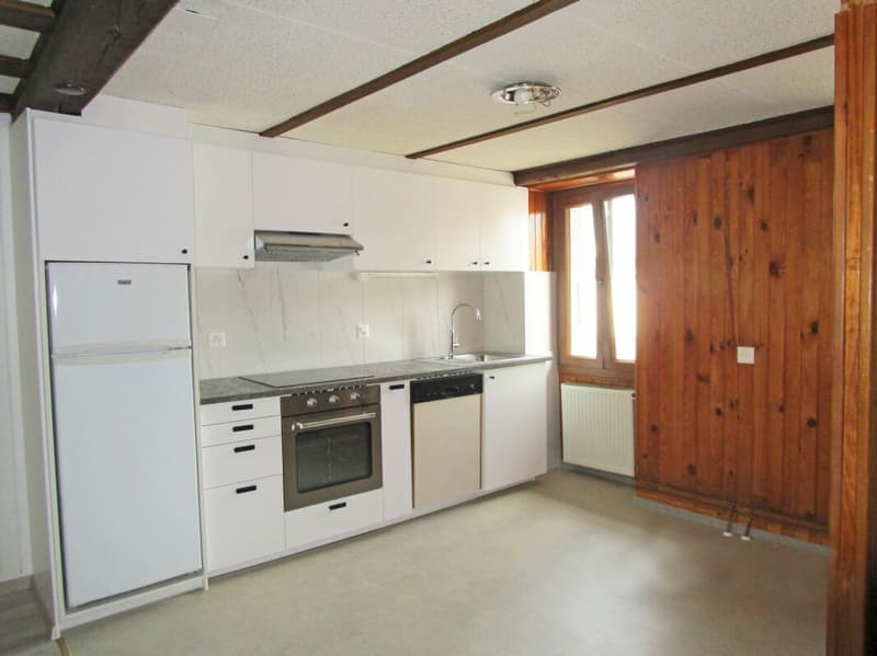 Appartamento 2,5 locali in duplex con terrazza XXL (5)