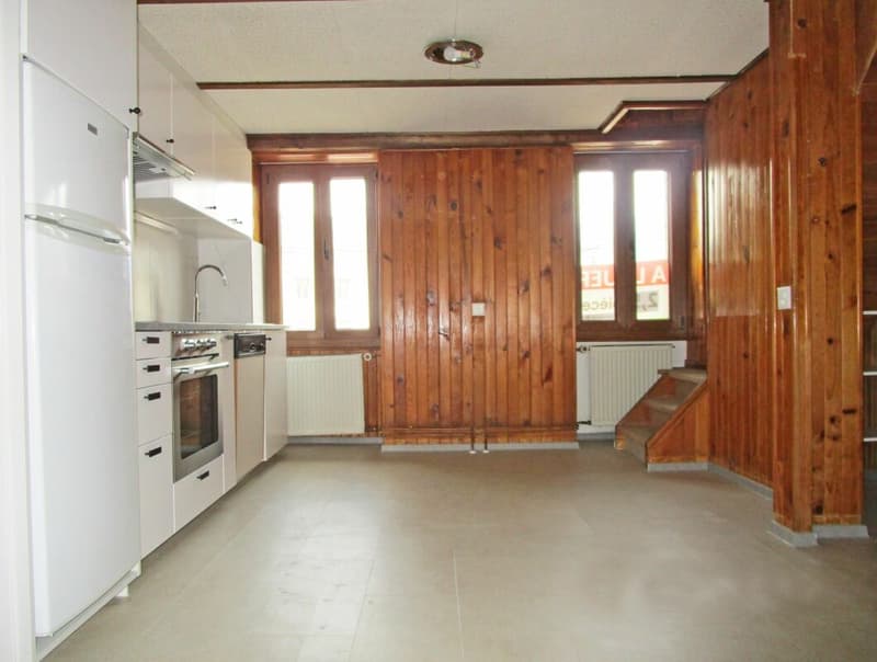 Appartamento 2,5 locali in duplex con terrazza XXL (4)