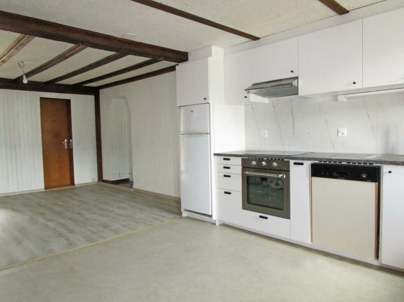 Appartamento 2,5 locali in duplex con terrazza XXL (2)