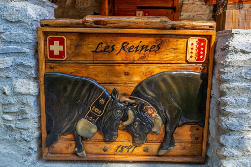 Un chalet d'exception (20)