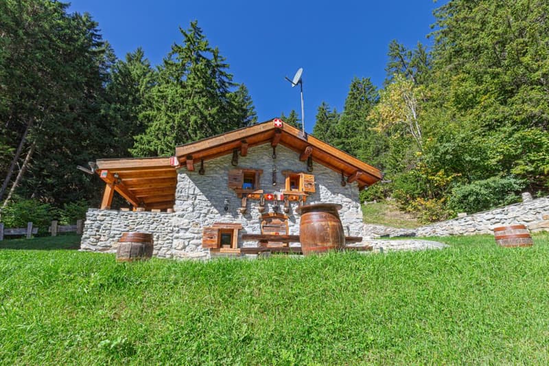 Un chalet d'exception (15)