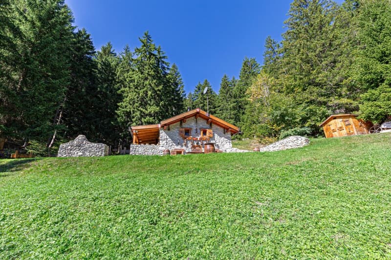 Un chalet d'exception (18)