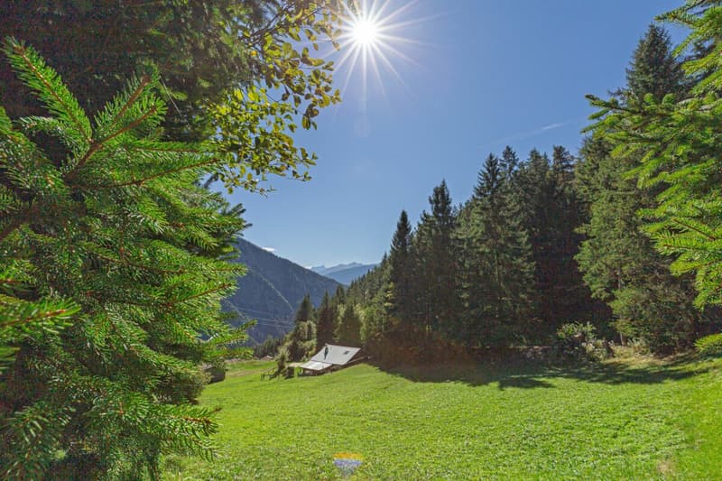 Un chalet d'exception (23)
