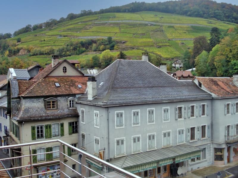 Immeuble de rendement au centre ville (11)