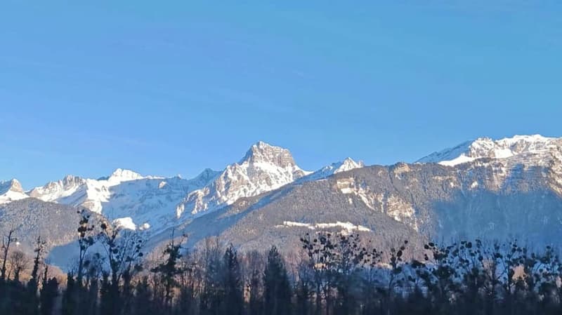 Exceptional land (3)