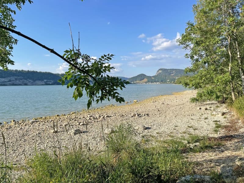 The privilege of a first line facing the lake (17)