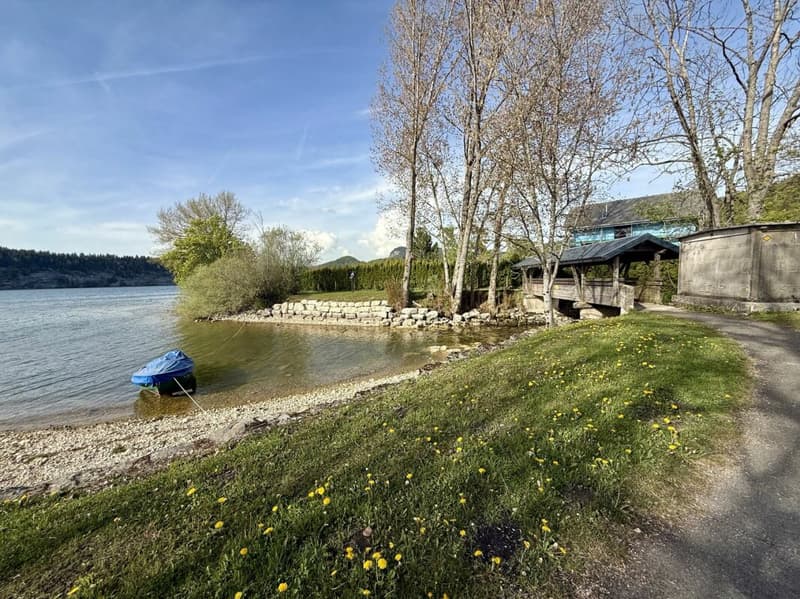The privilege of a first line facing the lake (19)
