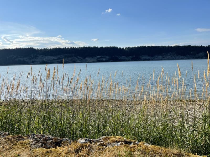 The privilege of a first line facing the lake (21)