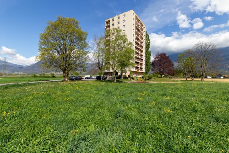 Dachgeschoss mit 2,5 Zimmern renoviert, sofort verfügbar! (13)