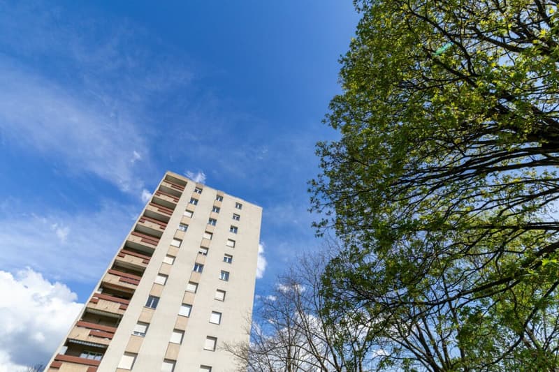 Dachgeschoss mit 2,5 Zimmern renoviert, sofort verfügbar! (12)