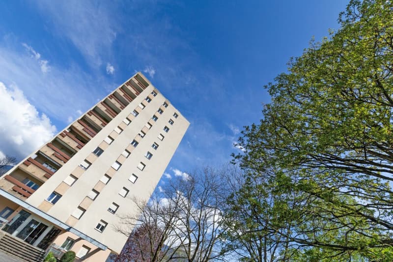 Dachgeschoss mit 2,5 Zimmern renoviert, sofort verfügbar! (14)