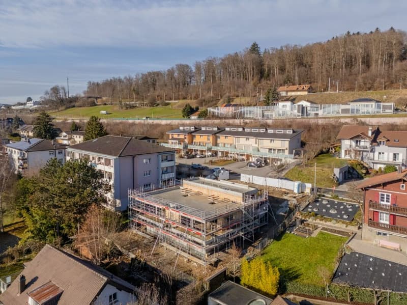 Le chantier a demarré ! (4)