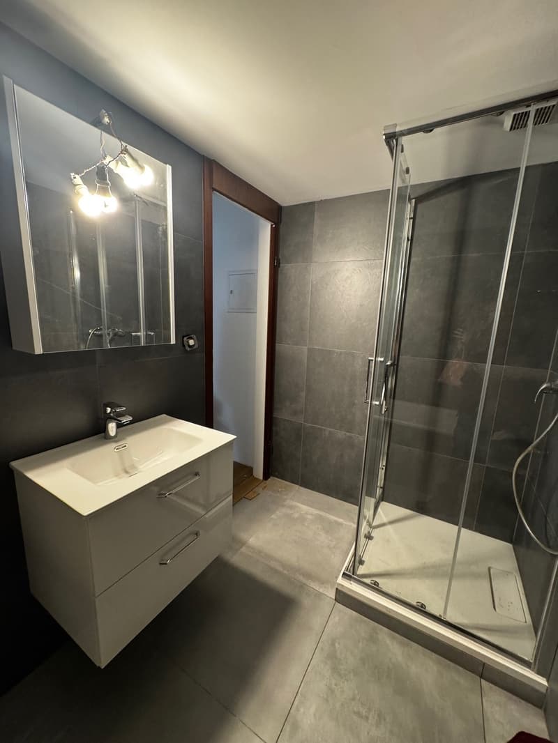 Magnificent 4.5-room apartment with fireplace in the heart of Le Locle (4)