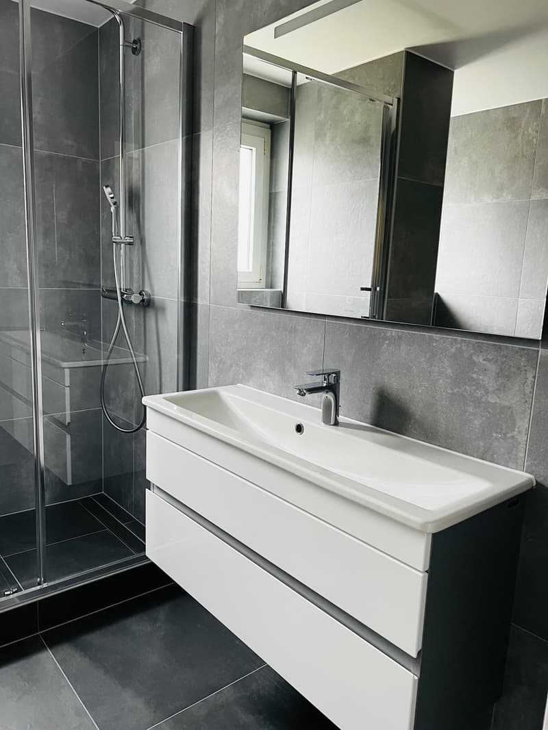 Grande appartamento di 3.5 locali con balcone di 10m2 e posto auto (6)