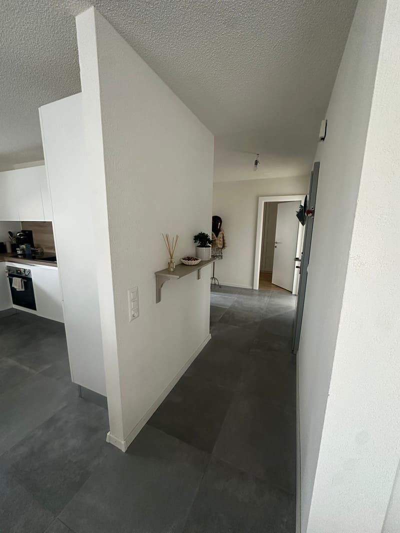 Grande appartamento di 3.5 locali con balcone di 10m2 e posto auto (4)