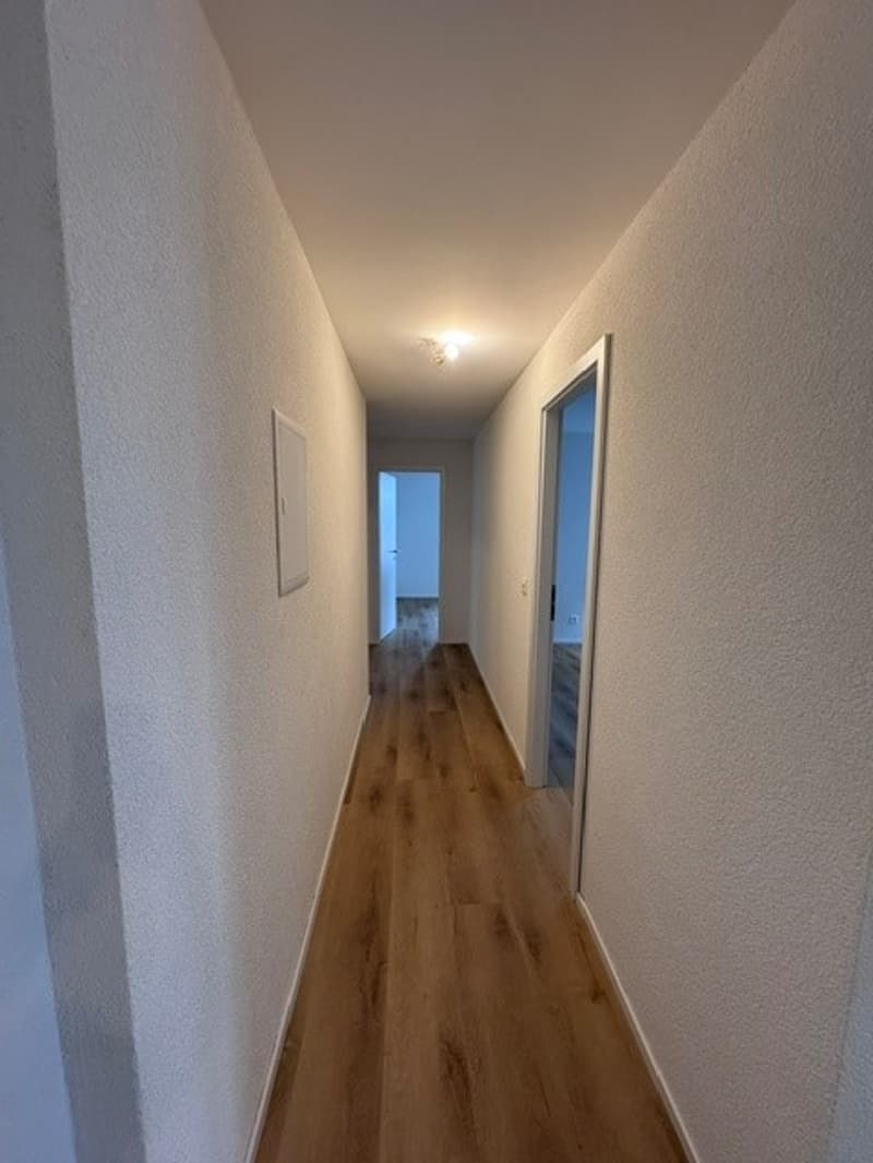 Magnifique appartement de 4.5 pces avec terrasse privée (4)