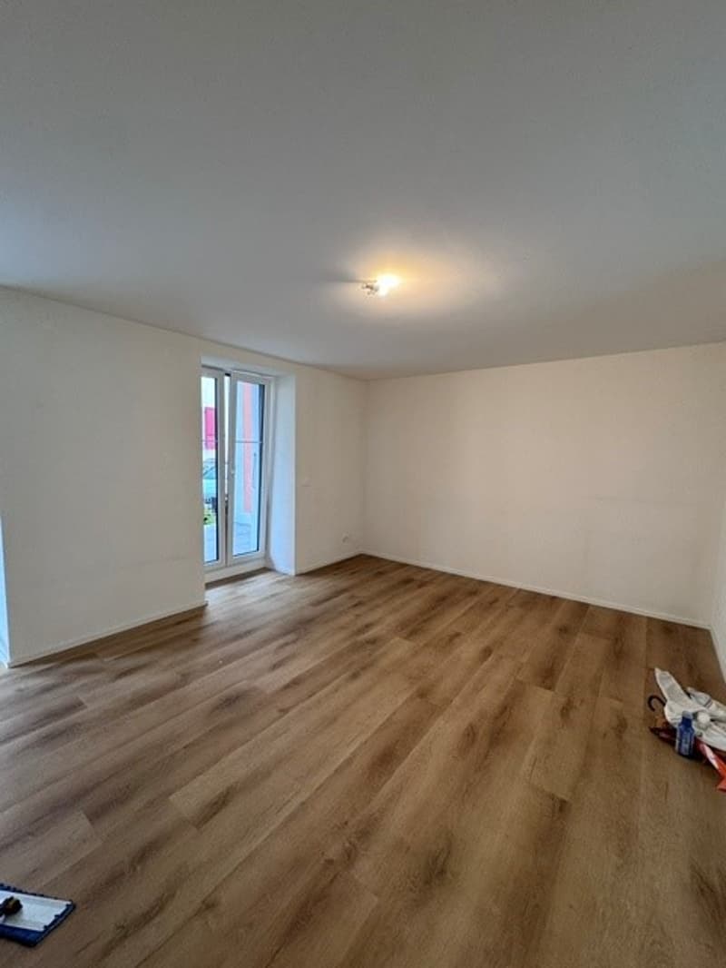 Magnifique appartement de 4.5 pces avec terrasse privée (3)