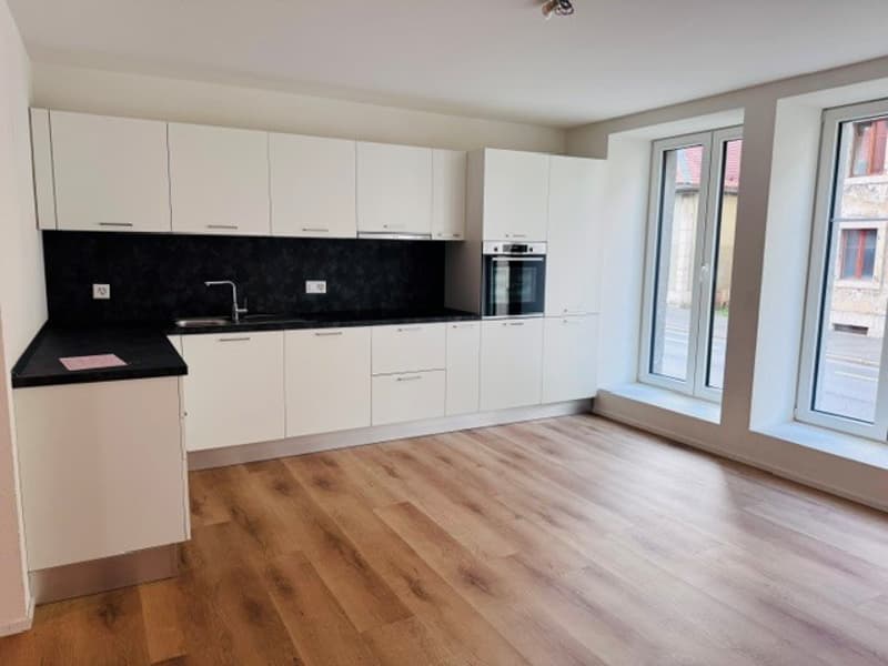 Magnifique appartement de 4.5 pces avec terrasse privée (1)