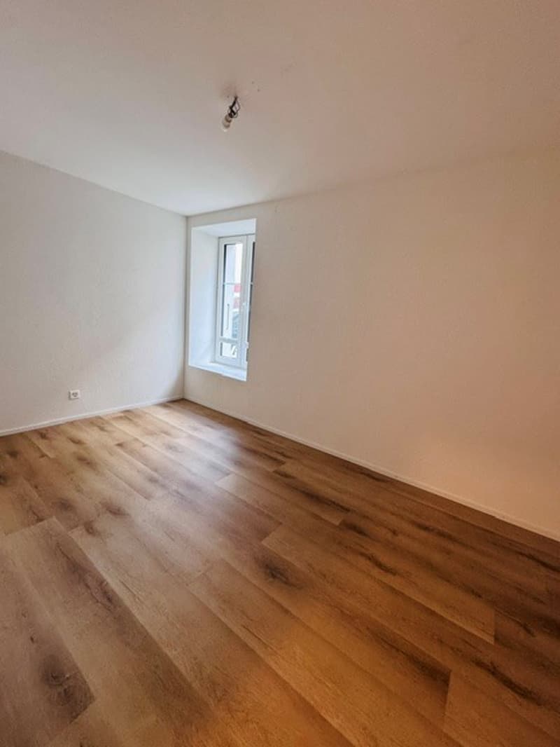 Magnifique appartement de 4.5 pces avec terrasse privée (5)