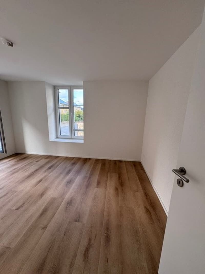 Magnifique appartement de 4.5 pces avec terrasse privée (7)