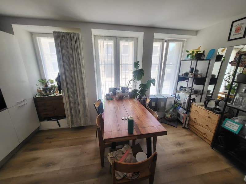 Magnifique appartement de 4.5 pces avec terrasse privée (3)