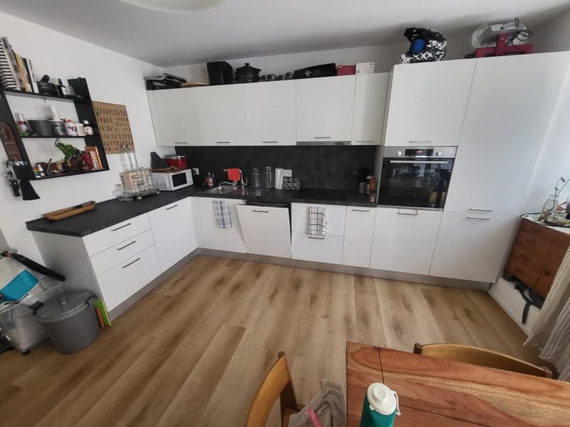 Magnifique appartement de 4.5 pces avec terrasse privée (1)