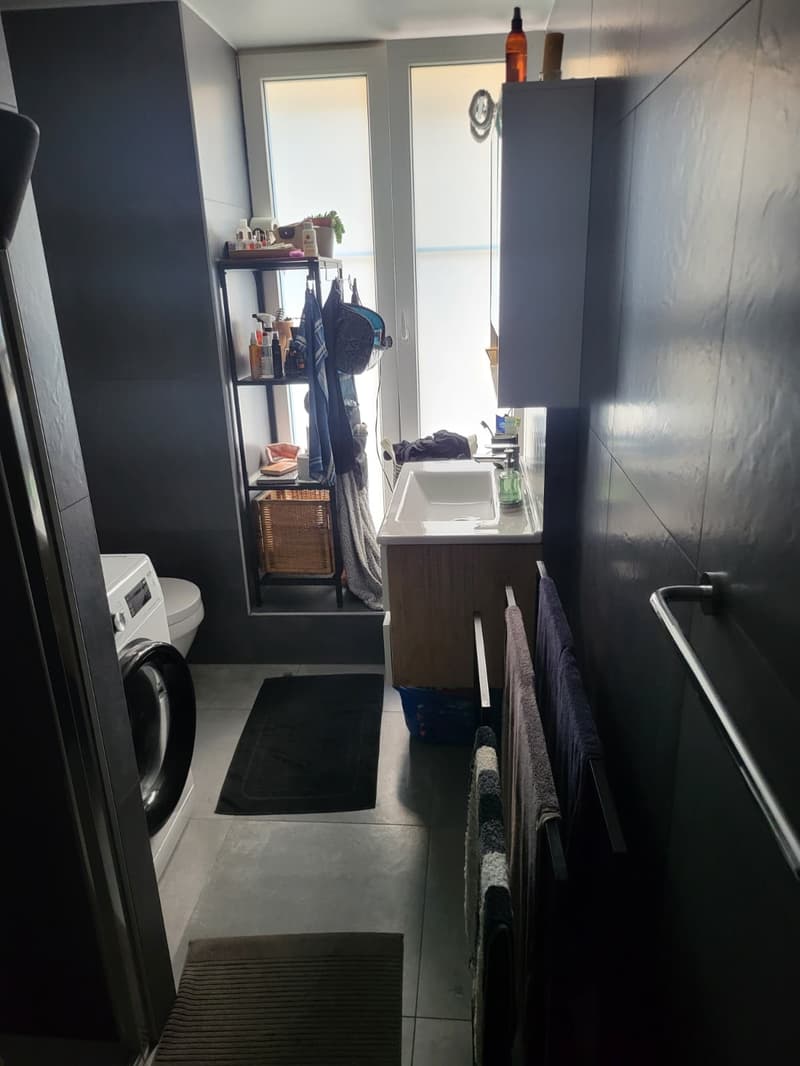 Magnifique appartement de 4.5 pces avec terrasse privée (7)