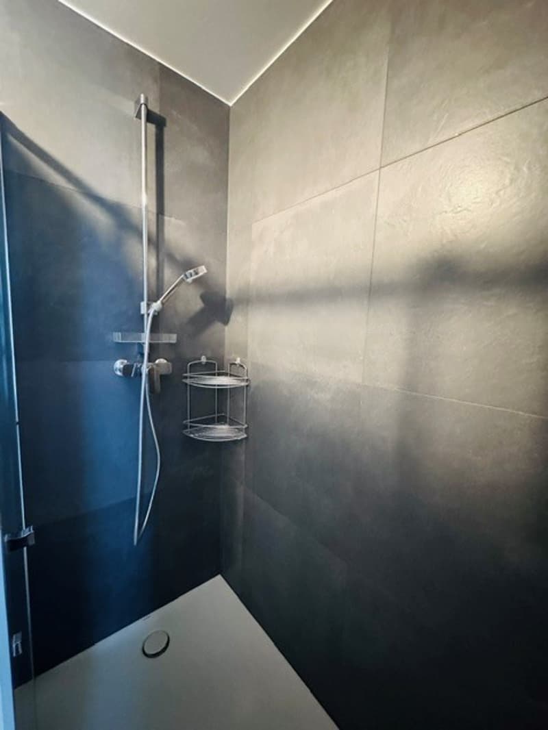 Magnifique appartement de 4.5 pces avec terrasse privée (10)