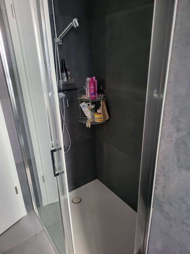 Magnifique appartement de 4.5 pces avec terrasse privée (8)