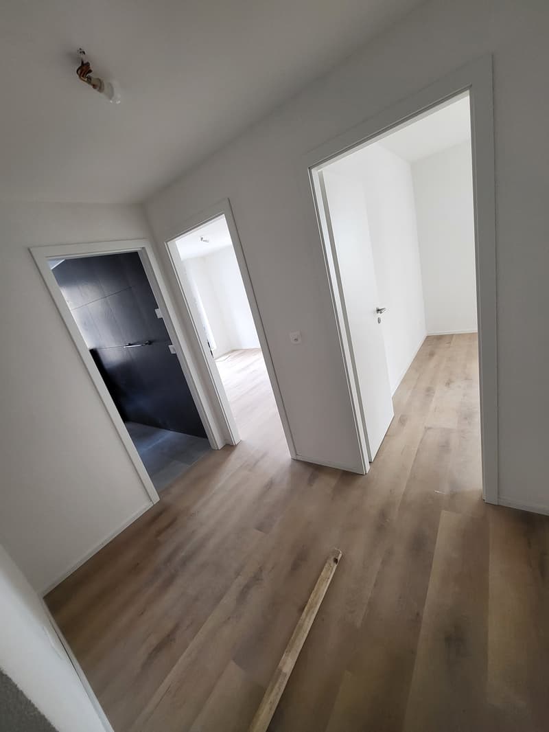 Magnifique appartement de 4.5 pces avec terrasse (3)