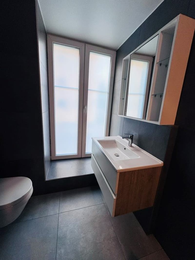 Magnifique appartement de 4.5 pces avec terrasse privée (9)